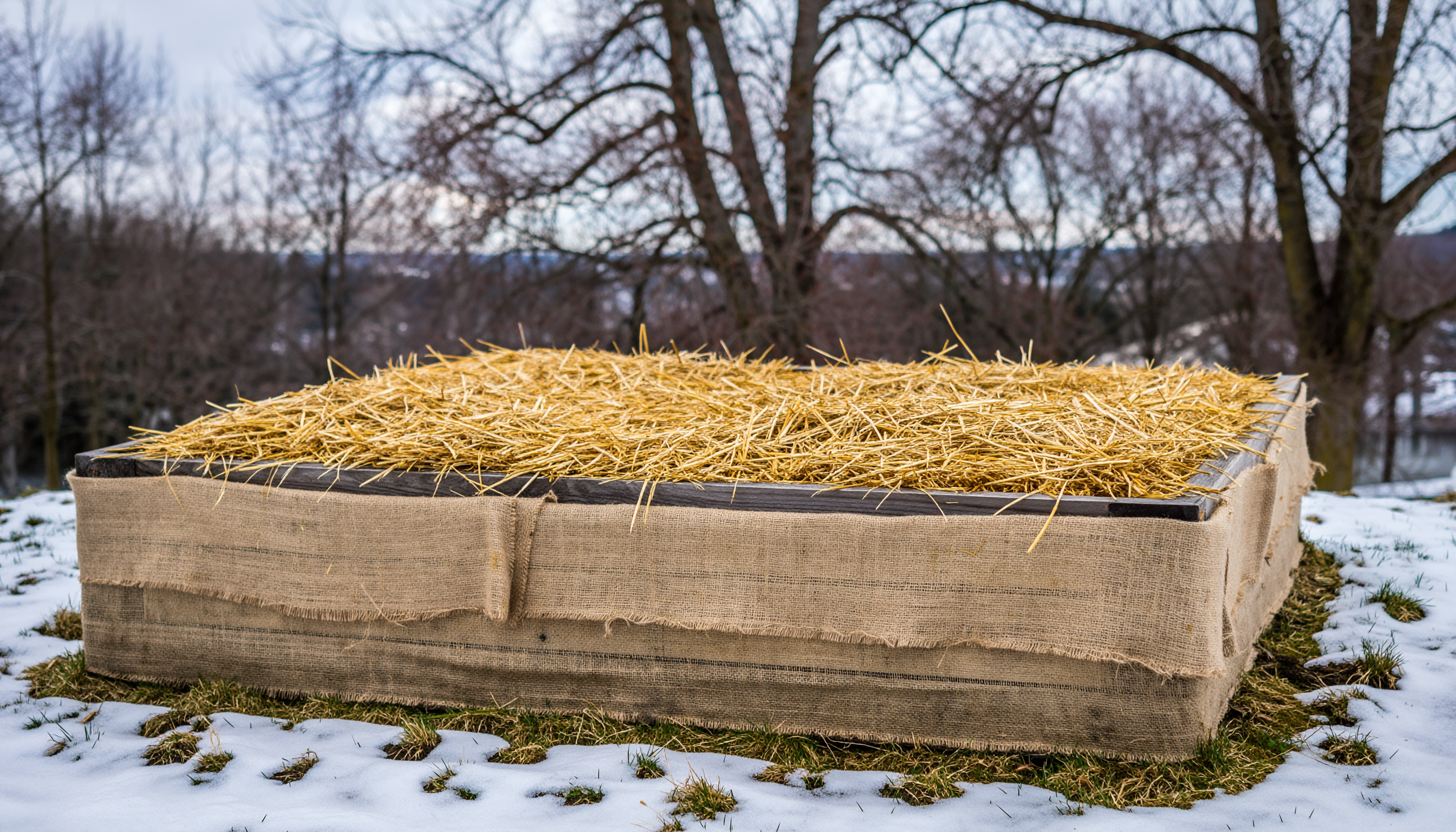 New Orchards Raised Bed Winter Protection Burlap Straw Mulch Snow