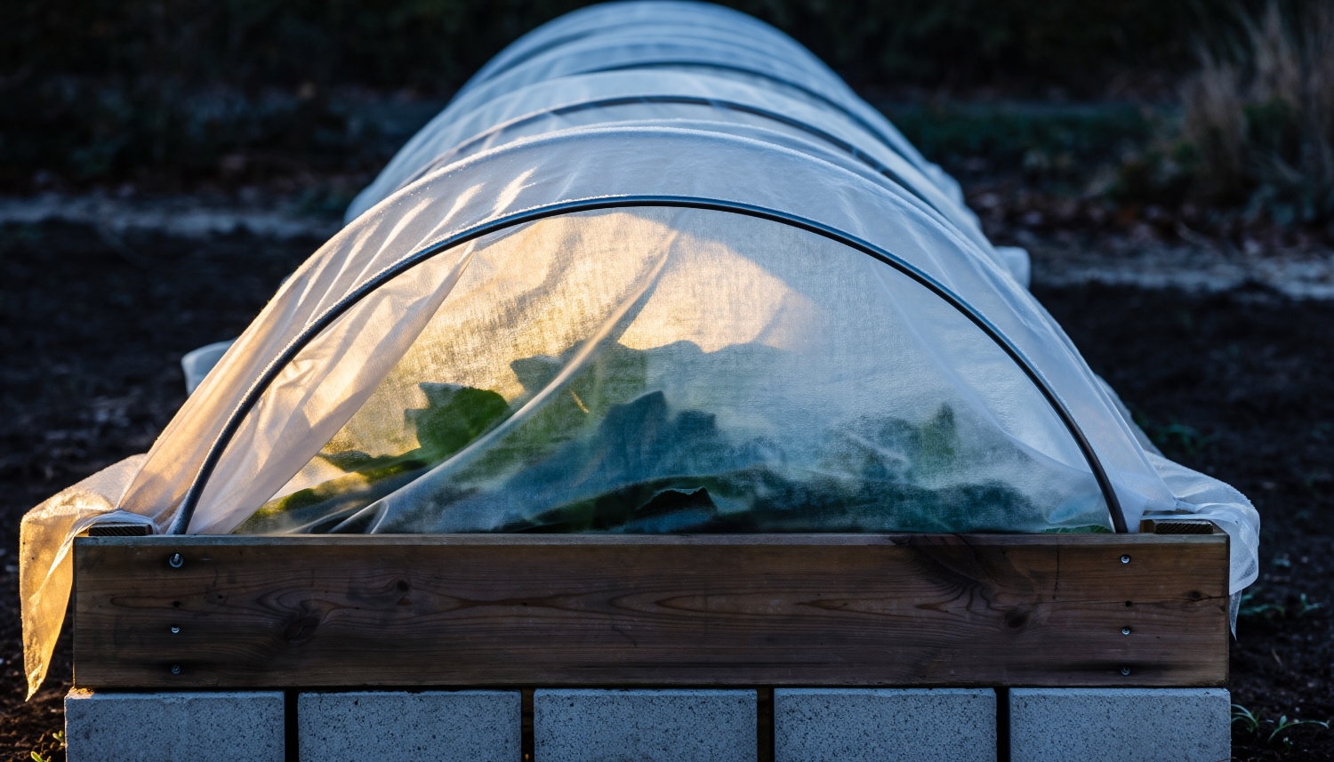 New Orchards Raised Planter Frost Cloth Hoops Cold Night