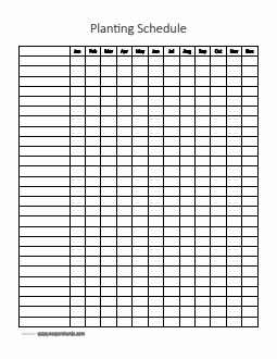 Free Blank Planting Calendar Template in Word